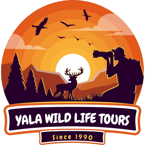 Yala Wildlife Tours
